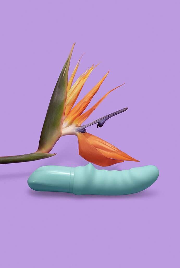 FIRST Seu Primeiro Vibrador - pantynova | Sex Shop Produtos Eróticos Online
